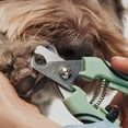thumbnail image 6 of Dexypaws: Pet Nail Clipper - Large - Sage Green, Dog & Cat Grooming Tool, Precision Trimming, Stainless Steel Blades, Animal Care & Paw Maintenance, 6 of 9