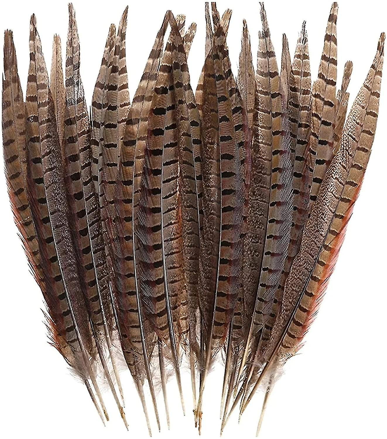 Plumas de sale