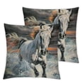 thumbnail image 2 of Nawypu Throw Pillow Covers White Horse with Long Run Snow Dark Pastel Art Portrait Canvas  Classic Animal for Living Room Bedroom Sofa  Set of 2, 2 of 6