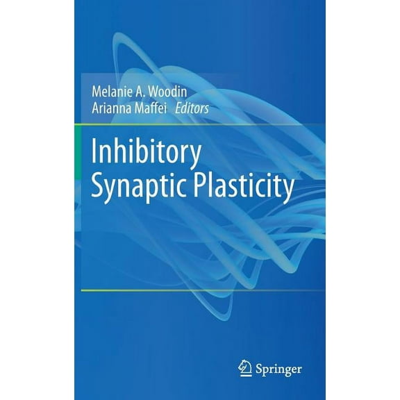 Inhibitory Synaptic Plasticity, (Hardcover)