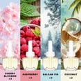 thumbnail image 3 of Plug Ins Refills Air Freshener, Cherry Blossom, Raspberry, Balsam Fir, Coconut, for Home and Bathroom 7.92Fl Oz 12 Count, Compatible with Air Wick & Glade, 3 of 4