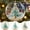 12CDE, variant on 12PC Sea Glass Coastal Christmas Tree Ornament, Acrylic Coastal Pine Tree Ornaments, Christmas Pendants for Christmas Tree Hanging Ornaments, Seaglass Beach Christmas Ornaments Mix
