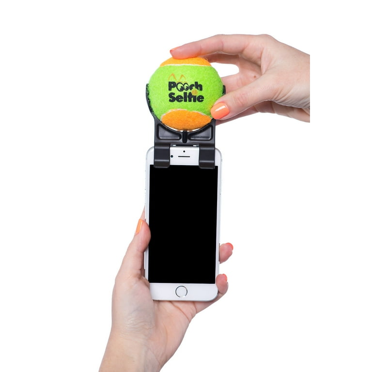 The pooch selfie 2025