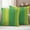 Green, variant on Rainbow Ombre Outdoor Waterproof Throw Pillow Covers 16x16 Set of 2, Orange Blue Gradient Colorful Modern Art Decorative Pillowcases Cushion Pillowcase for Couch Sofa Patio Outside Pillow Protector