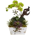 thumbnail image 3 of Nearly Natural Yellow Orchid and Succulent Garden with White-wash Planter, 3 of 6