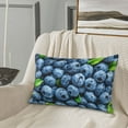 thumbnail image 5 of Lsque Fresh Blueberries Pattern Pillow Case – Soft & Cozy Throw Pillow Cover, Hypoallergenic Cushion Case for Sleeping Women with Envelope Closure-20"x30", 5 of 6