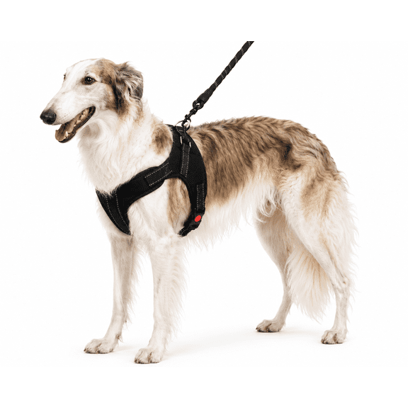 Arnés para Perro Poli Pets Talla Grande Negro con Correa, Asa de Control y Costuras Reflectantes Poli Pets PP-PCCBK-GD