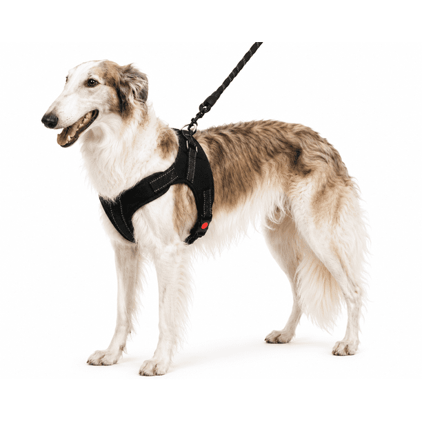 Arnés para Perro Poli Pets Talla Grande Negro con Correa, Asa de Control y Costuras Reflectantes Poli Pets PP-PCCBK-GD