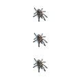 thumbnail image 2 of sweethay 3D araña lagarto escorpión 3D pegatina parachoques cuerpo PVC adhesivo ventana espejo adhesivo Decoración Type7 NO7 sweethay CBP144655, 2 of 6