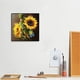 thumbnail image 5 of Cuadros Decorativos Girasol 20X20cm Pintura al óleo sin marco por números DIY Pintura Artesanía (S562) Likrtyny embutido en tela, 5 of 9