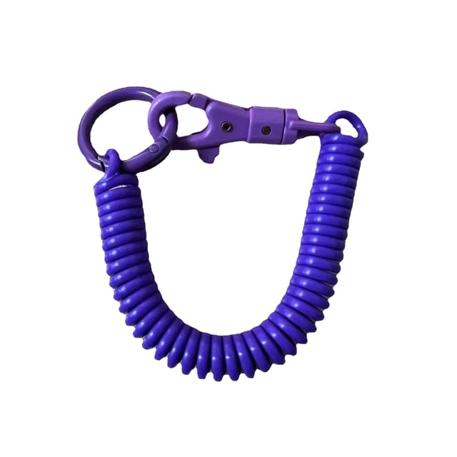 GFHFHITJ Key Chain Plastic Spring Rope Key Chain Spring Mobile Phone Rope Telescopic Spring Lanyard Key Chain Lanyard