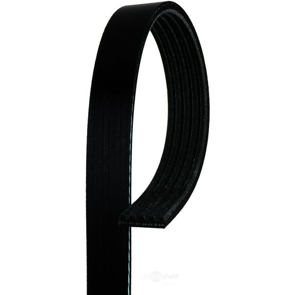 ACDelco Professional 5K825 Standard V-Ribbed Serpentine Belt Fits 1989 Chevrolet Cavalier