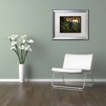 thumbnail image 3 of Trademark Fine Art "Window Wall II" Canvas Art by Philippe Hugonnard, White Matte, Silver Frame, 3 of 4