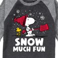thumbnail image 3 of Peanuts - Snow Much Fun - Toddler And Youth Raglan Graphic T-Shirt, 3 of 7