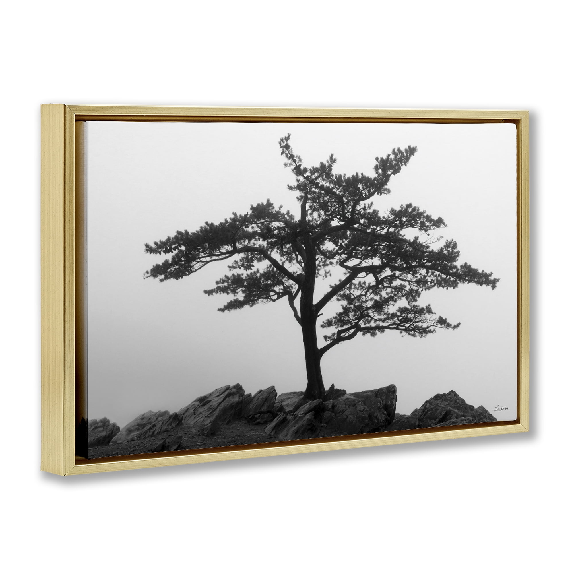 Stupell Industries Lone Tree on Rocks Landscape & Nature Photography Gold Floater Framed Canvas Art Print Wall Art, 31 x 21
