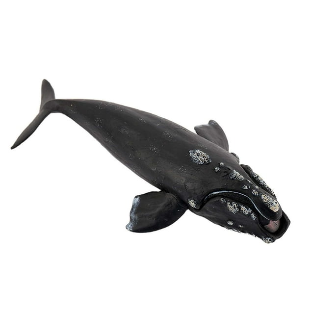 Esquirla Figurine d'Action Aquarium Collection de Simulation Jouet Éducatif Jeu de Rôle Mer