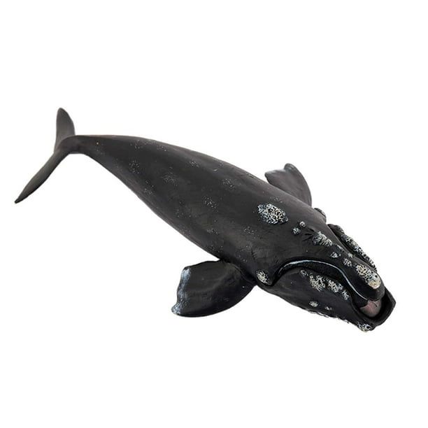 Colección de Figuras de Acción de Ballenas, Acuario Y Vida Marina para Niños Pequeños.