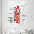 thumbnail image 1 of Educational Tapestry, Medical Structure of the Hearts Human Body Anatomy Organ Veins Cardiology, Wall Hanging for Bedroom Living Room Dorm Decor, 60W X 80L Inches, Coral Red Blue, by Ambesonne, 1 of 2