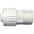 thumbnail image 1 of Adaptateur Poly 3/4Px3/4Mpt 16872, 1 of 1