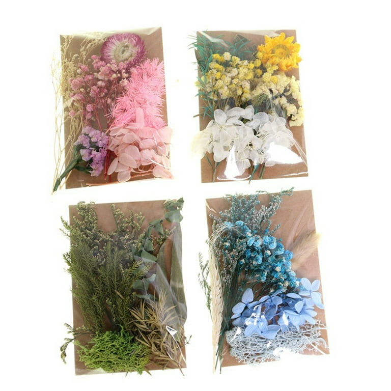 1pack Dried Flowers & Everlasting Flowers For Diy Frame, Candle Making,  Aromatherapy