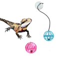 thumbnail image 4 of 7 Pack Jouet Dragon Barbu Kring Ball, Jouet Lézard Reptile Balle, Couleurs Aléatoires, 4 of 5