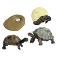 thumbnail image 3 of Modelo de Ciclo de Vida de Tortuga, Proyecto de Ciencia de Aprendizaje, Herramientas de Enseñanza, Regalos de Cumpleaños, Modelo de Biología, Preescol, 3 of 8