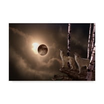 Trademark Fine Art 'Shadow Of The Moon 2' Canvas Art by Gordon Semmens