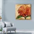 thumbnail image 3 of Trademark Fine Art 'Vibrant Floral III' Canvas Art by Vision Studio, 3 of 4