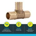 thumbnail image 3 of SharkBite 1 Inch Crimp Tee, Pack of 10, Brass Plumbing Fitting, PEX Pipe, PE-RT, UC374LFA10, 3 of 5