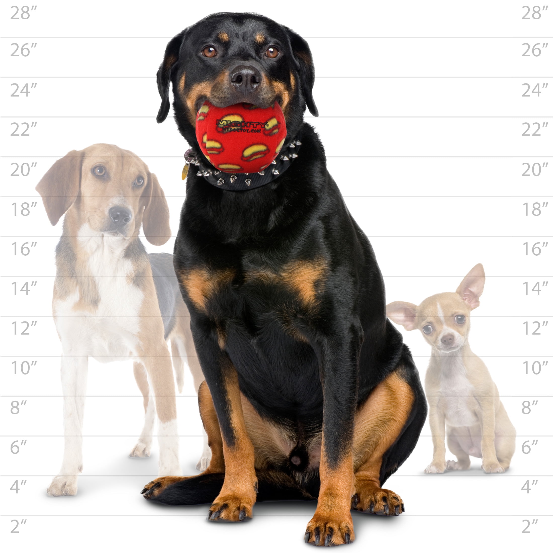 Mighty Ball Medium Red, 2-Pack Dog Toys
