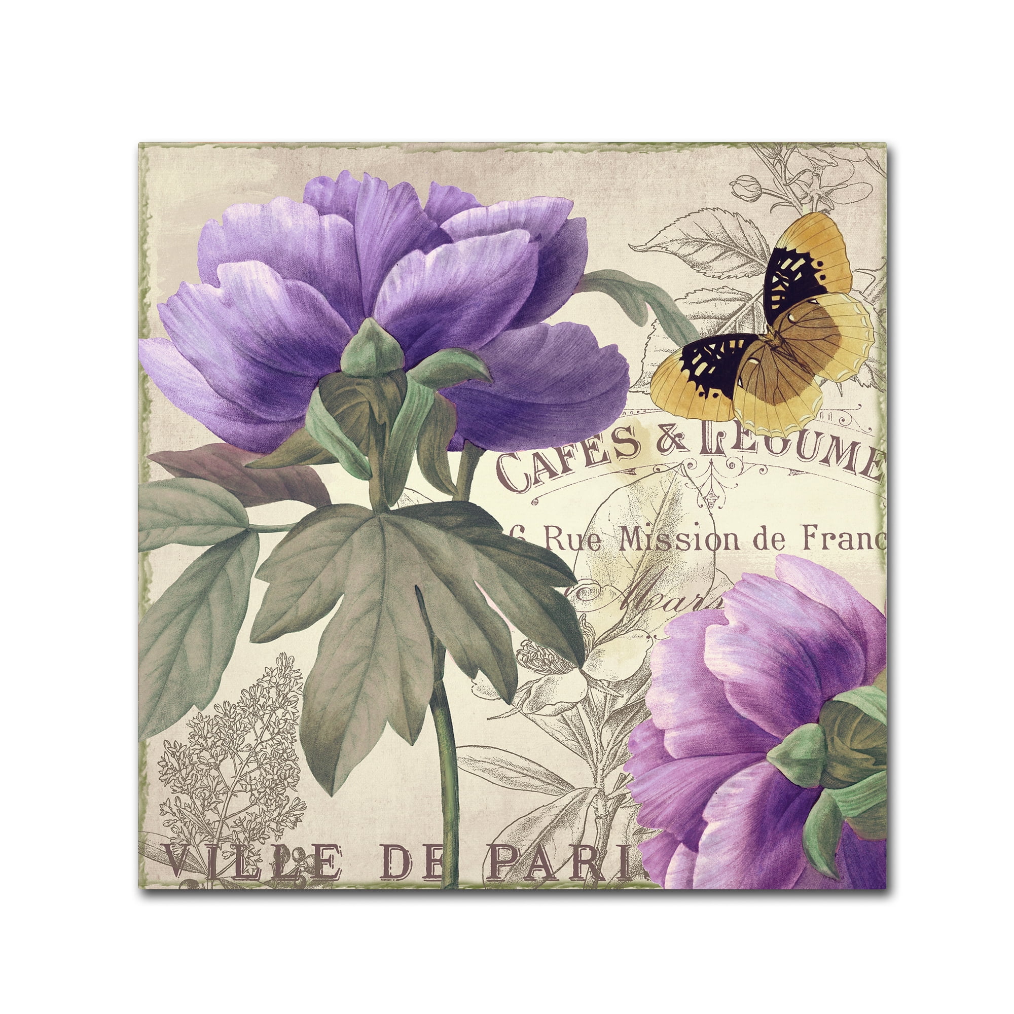 Trademark Fine Art "Petals of Paris IV" Canvas Art by Color Bakery