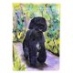 thumbnail image 1 of ""Caroline'S Treasures Ss8264Chf Lienzo Con Bandera Portuguesa Del Perro De Agua, Grande, Multicolor"", 1 of 5