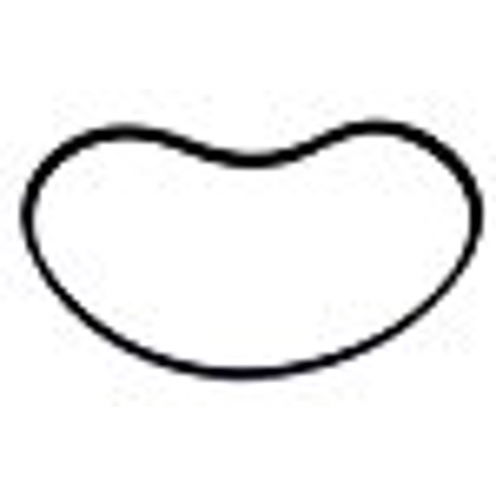 New Replacement BELT for Edge 491 Recumbent Exercise Bike