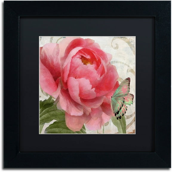 Trademark Fine Art "Apricot Peonies II" Canvas Art by Color Bakery Black Matte, Black Frame