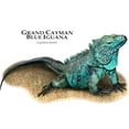 thumbnail image 3 of CafePress - Grand Cayman Blue Iguana Mug - 11 oz Ceramic Mug - Novelty Coffee Tea Cup, 3 of 6
