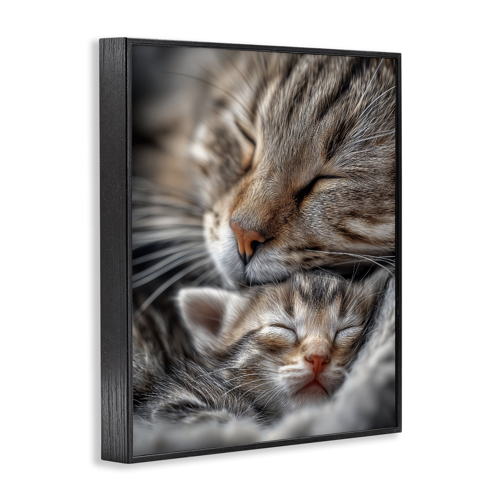 Stupell Industries Kitty Love Cuddles Black Framed Giclee Art, design by Scott Stulberg
