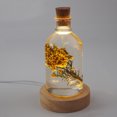thumbnail image 4 of 1 colocar la botella de bricolaje de bricolaje brillante moho de luz bonita de bricolaje delicado molde de bombilla de bricolaje, 4 of 5