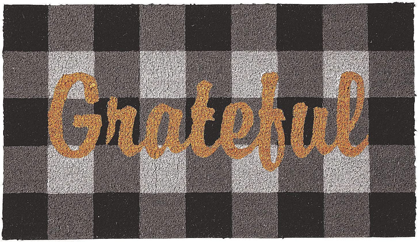 Natural Coir Doormat Indoor Outdoor, Easy Clean LowProfile Waterproof