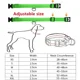 thumbnail image 4 of Collar para perros con luz LED brillante, ajustable, intermitente, recargable, luminoso, arnés con luz nocturna antipérdida para perros pequeños, productos para mascotas, 4 of 5