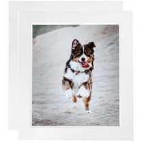 ArtToFrames 18" x 24" Contemporary White with Lip Picture Frame, 18x24 inch White Wood Poster Frame (WOM-2032), 2 Pack