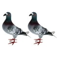 thumbnail image 2 of Realistic Bird Figurines, Artificial Foam Pigeons, Simulation Foam Pigeon Model, Mini Fake Birds Easter Gifts for Kids Home Decoration 2pcs Style B, 2 of 8