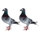 thumbnail image 2 of Mini pájaros falsos, palomas artificiales de espuma, simulación de palomas, adornos de palomas artificiales, animales, regalos de Pascua, decoración uds estilo B, 2 of 8
