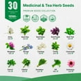 thumbnail image 2 of Organo Republic 30 Medicinal & Tea Herb Seeds Variety Pack 15,560+ Non-GMO Heirloom Garden Seeds, 2 of 7