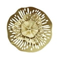 thumbnail image 3 of Disco irregular de metal para decoración de pared, fondo de sofá, colgante de pared de hierro L, 3 of 9
