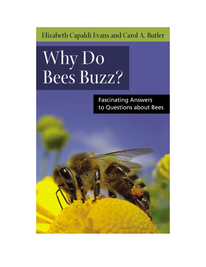 Why Do Bees Buzz? Fascinating Answers to Questions about Bees