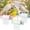 3PCS, variant on Parrot Rolling Paper Play Toy with Hanging Chain - Bird Shredding Toys,2026 New Candy-Shaped Parrot Paper Chewing Toy