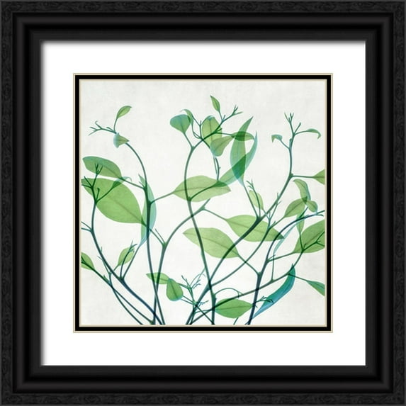 Poinski, Dianne 20x20 Black Ornate Wood Framed with Double Matting Museum Art Print Titled - Rendezvous I