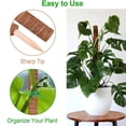 thumbnail image 4 of Moss Pole Moss Stick Stackable Moss Stick Moss Pole For Cheese Plant Moss Stick With 20 Cable Ties 2 Pcs Moss Pole For Cheese Plant Stackable Moss Stick With 20 Cable Ties For, 4 of 8