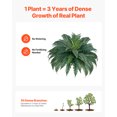 thumbnail image 4 of VEVOR Artificial Ferns 2 Pcs, Natural Spread Diameter 43-47 Inch, Large Hanging Artificial Boston Ferns, Fake Plant Wall Decor with 50 Branches, Faux Fern for Home and Office (Flowerpot Unincluded), 4 of 9