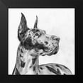 thumbnail image 2 of Wang, Melissa 15x15 Black Modern Framed Museum Art Print Titled - Great Dane Portrait II, 2 of 5